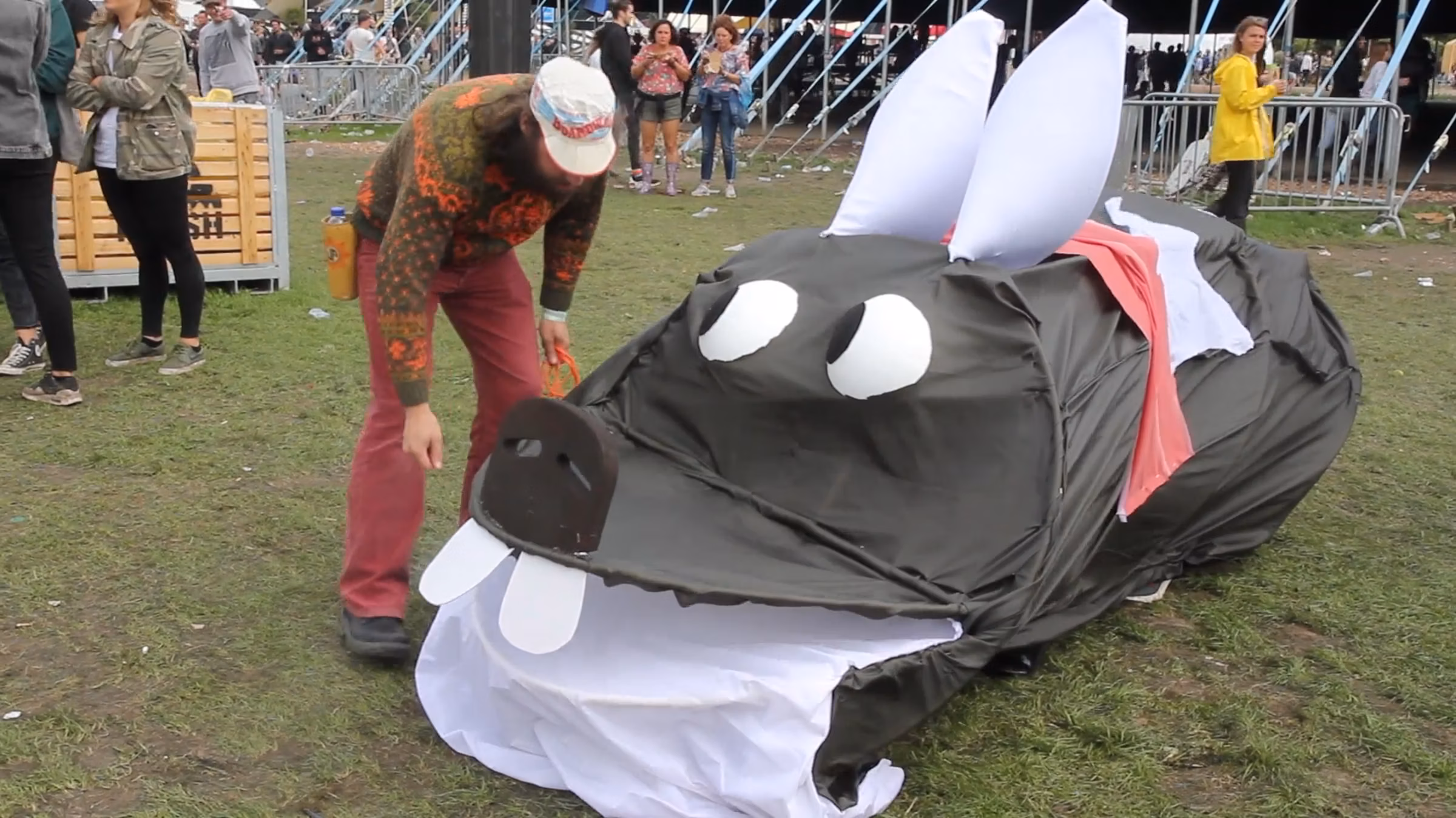 Very BIG dogs show!